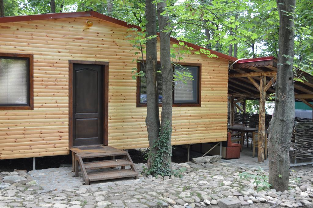 Hotel Grivitsa Pleven Værelse billede